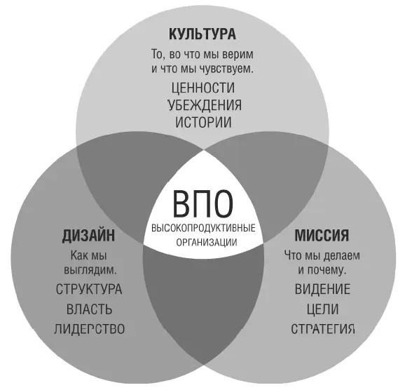 На какомто этапе работы с Red я показал Тому этот слайд Он печально - фото 18
