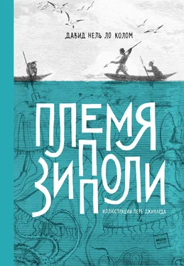 Давид Нель Ло Колом Племя Зипполи [litres] обложка книги