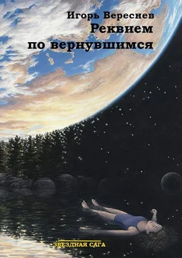 Игорь Вереснев Реквием по вернувшимся [СИ] обложка книги