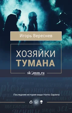 Игорь Вереснев Хозяйки тумана [litres] обложка книги