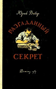 Юрий Вебер Разгаданный секрет обложка книги