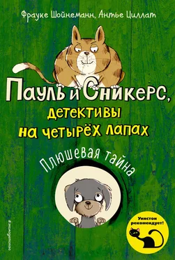 Фрауке Шойнеманн Плюшевая тайна обложка книги