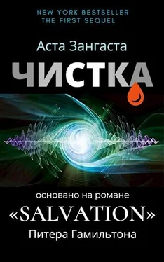 Аcта Зангаста Чистка обложка книги