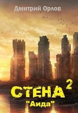 Дмитрий Орлов Стена 2 обложка книги