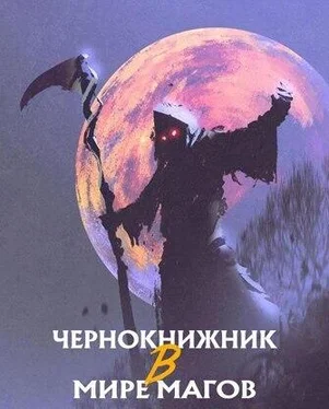 The Plagiarist Чернокнижник в Мире Магов [ЛП] обложка книги