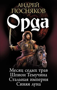 Андрей Посняков Орда (Тетралогия) обложка книги