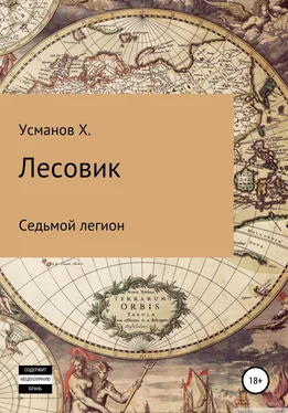 Хайдарали Усманов Седьмой легион [СИ] обложка книги