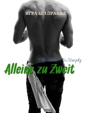 Вильгельмина Макмерфи Alleine zu Zweit (СИ) обложка книги