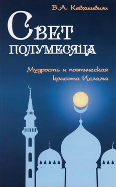 Владимир Кевхишвили Свет полумесяца. Мудрость и поэтическая красота Ислама обложка книги