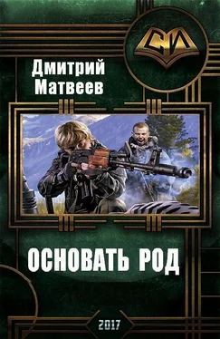 Дмитрий Матвеев Основать род (СИ) обложка книги
