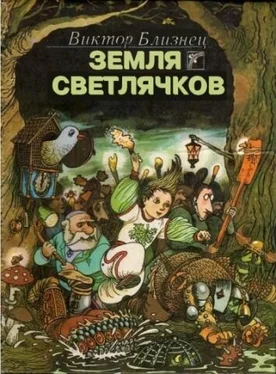 Виктор Близнец Земля светлячков обложка книги