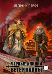 Евгений Перов - Черные клинки. Ветер войны