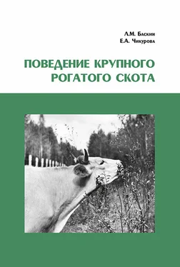 Леонид Баскин Поведение крупного рогатого скота обложка книги