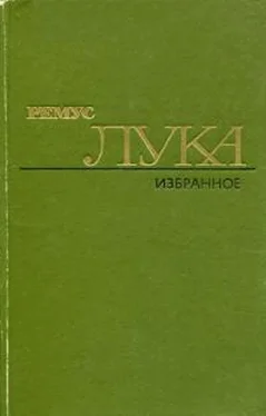 Ремус Лука Избранное обложка книги