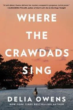 Делия Оуэнс Where the Crawdads Sing обложка книги