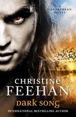 Feehan Christine Dark Song обложка книги