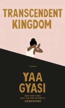 Yaa Gyasi Transcendent Kingdom обложка книги