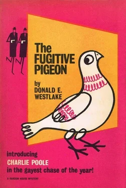 Дональд Уэстлейк The Fugitive Pigeon обложка книги