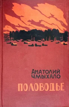 Анатолий Чмыхало Половодье. Книга вторая обложка книги