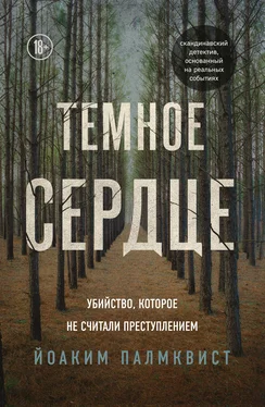 Йоаким Палмквист Темное сердце [Убийство, которое не считали преступлением] [litres] обложка книги