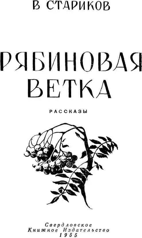 ДОКТОР 1 Рано утром Юрий Николаевич услышал настойчивый стук в дверь Не - фото 1