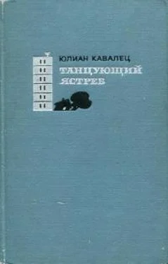 Юлиан Кавалец Танцующий ястреб обложка книги