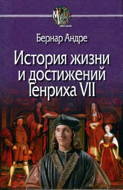 Бернар Андре История жизни и достижений Генриха VII обложка книги