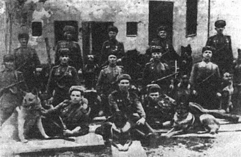 Противотанковое подразделение с собакамиподрывниками в 1943 году О действиях - фото 6