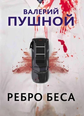 Валерий Пушной Ребро беса обложка книги