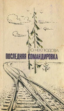 Ольга Неклюдова Последняя командировка обложка книги