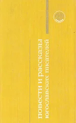 Владан Десница - Визит