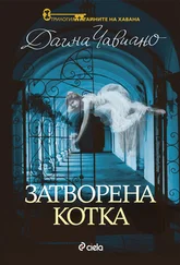 Даина Чавиано - Затворена котка