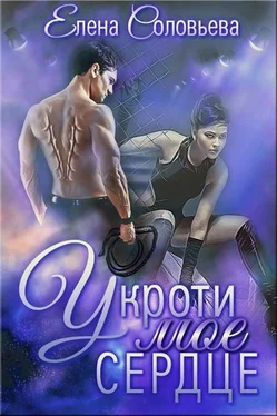 Елена Соловьева Укроти мое сердце [сетевая публикация] обложка книги
