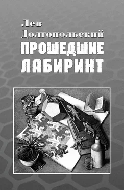 Лев Долгопольский Прошедшие лабиринт [СИ] обложка книги