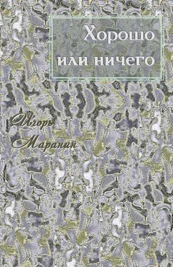 Игорь Маранин Хорошо или ничего [СИ] обложка книги