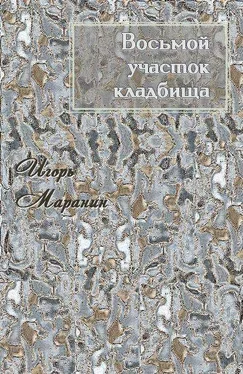 Игорь Маранин Восьмой участок кладбища [СИ] обложка книги