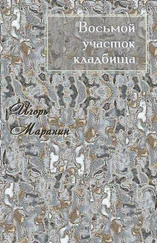 Игорь Маранин - Восьмой участок кладбища [СИ]