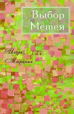 Игорь Маранин Выбор Метея [СИ]