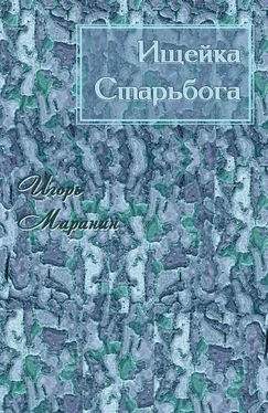 Игорь Маранин Ищейка Старьбога [СИ] обложка книги