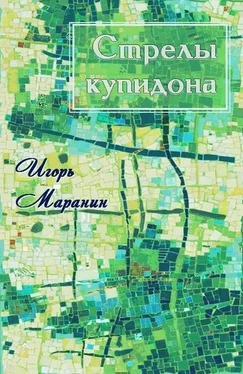 Игорь Маранин Стрелы купидона [СИ] обложка книги