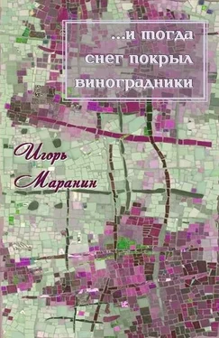 Игорь Маранин …и тогда снег покрыл виноградники [СИ] обложка книги