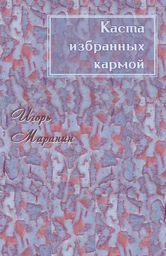 Игорь Маранин Каста избранных кармой [СИ] обложка книги