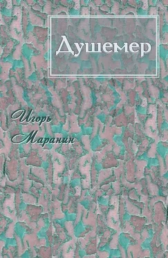 Игорь Маранин Душемер [СИ] обложка книги