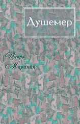 Игорь Маранин - Душемер [СИ]