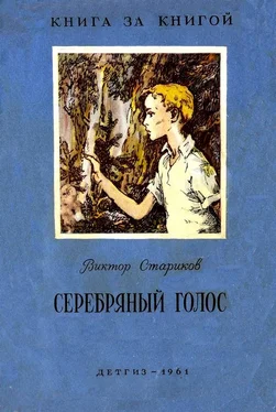 Виктор Стариков Серебряный голос обложка книги