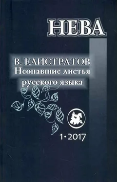 Владимир Елистратов Неопавшие листья русского языка обложка книги