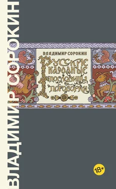 Владимир Сорокин Русские народные пословицы и поговорки [litres] обложка книги