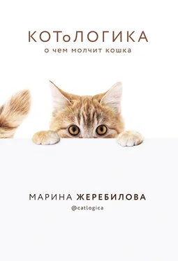 Марина Жеребилова КОТоЛОГИКА. О чем молчит кошка обложка книги