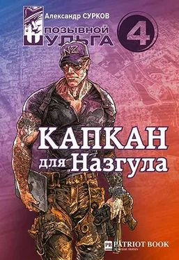 Александр Сурков Капкан для Назгула обложка книги