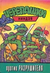 Андрей Аринушкин - Черепашки-ниндзя против Разрушителя